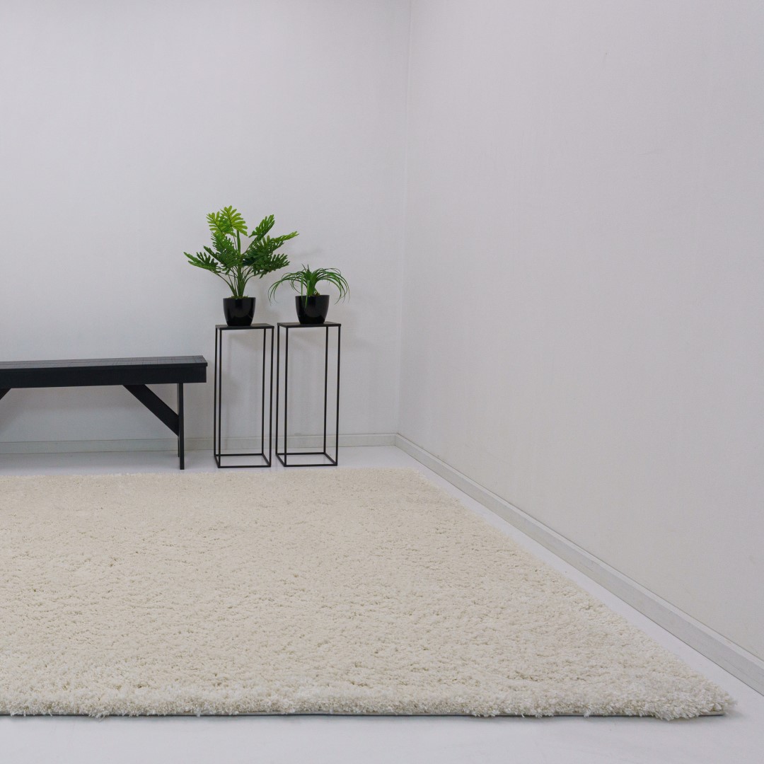 Teppich Xilento Plush Eifenbein | 160 x 240 cm